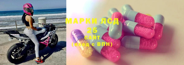 гашик Михайловск
