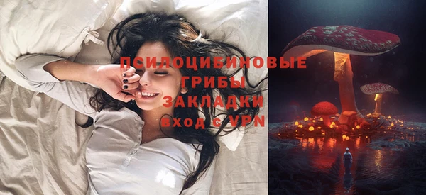 гашик Михайловск