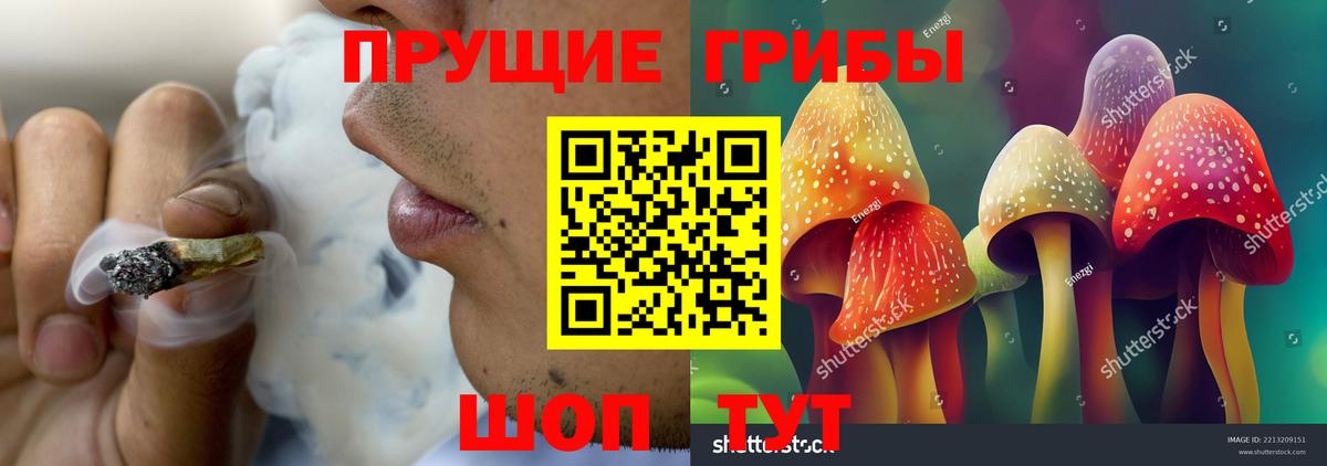 Нарьян-Мар  Галлюциногенные грибы Cubensis  Псилоцибиновые грибы мухоморы  Вход с VPN 